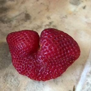 Meet your Posher, Diego